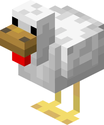 chicken