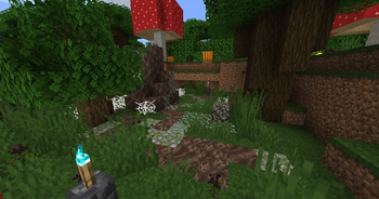 Thumbnail 0d60d9baab1ac3df034f3daffa573e8f6624ac1d_350.webp