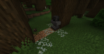 Thumbnail 3fe4f99eb698dc493f03fe1a039405a21e21f08c_350.webp