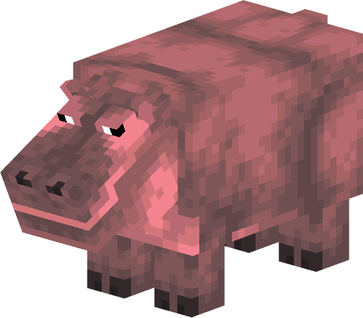 Hippopotomus