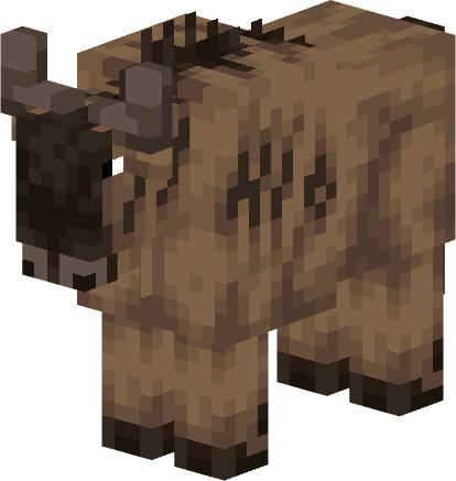 Wildebeest