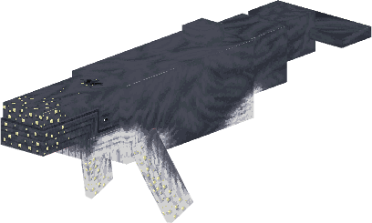 Humpback Whale