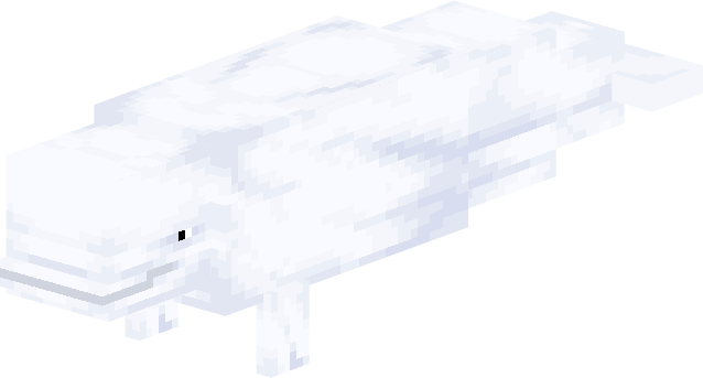 Beluga Whale