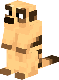 Meerkat