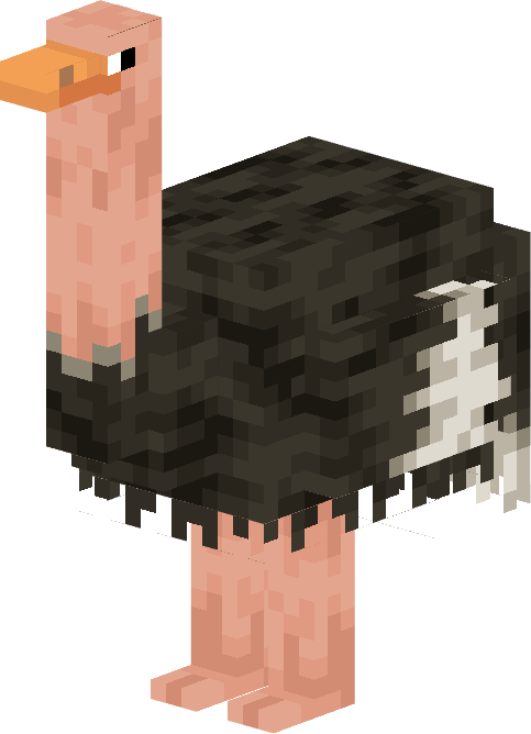 Ostrich