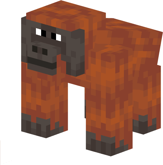 Orangutan