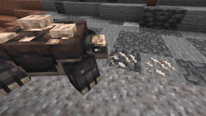 No Iron Golem Trap