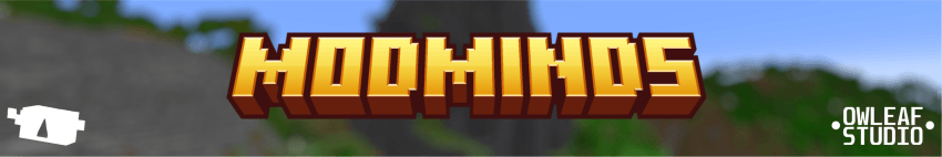 Banner ModMinds