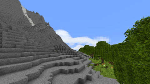 Forest & Mountains