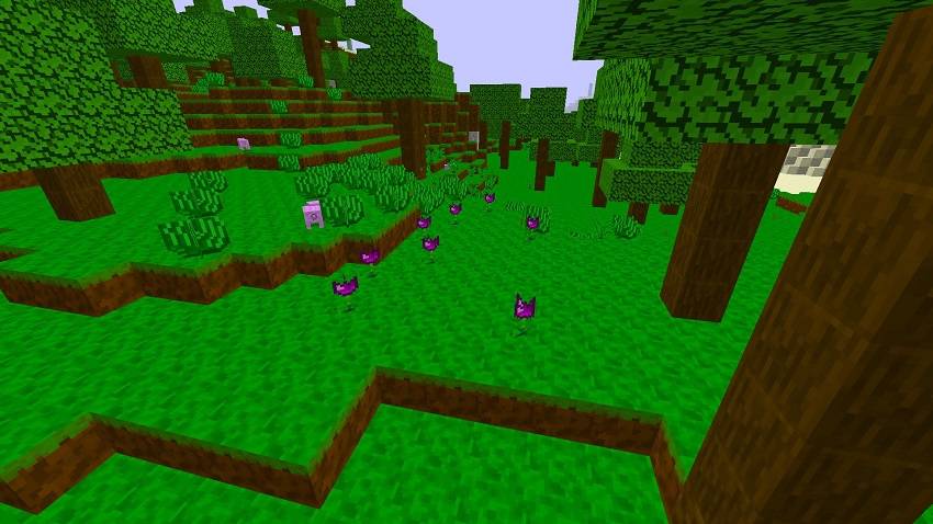 Forest with plenty of enigmuses