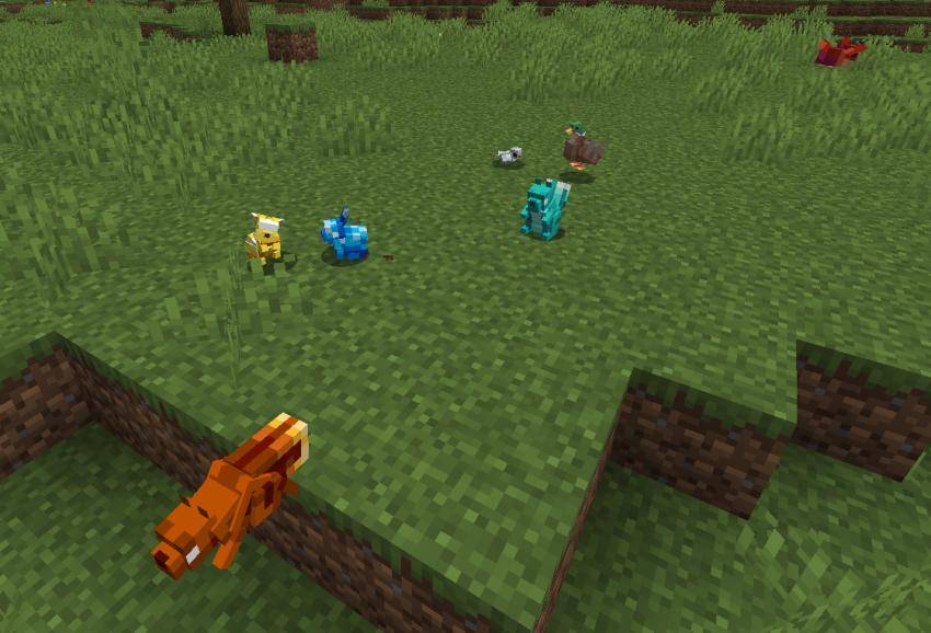 animals