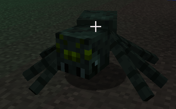 Swamp Spider