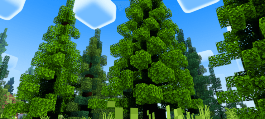 Asset Preview