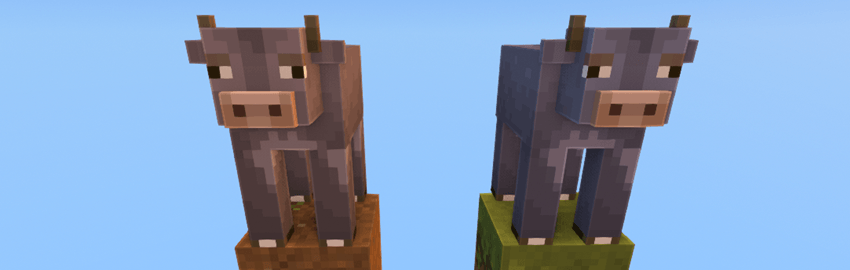Mountain Biomes