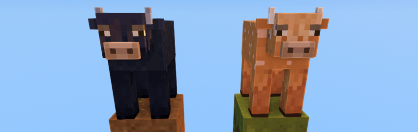 Snowy Biomes