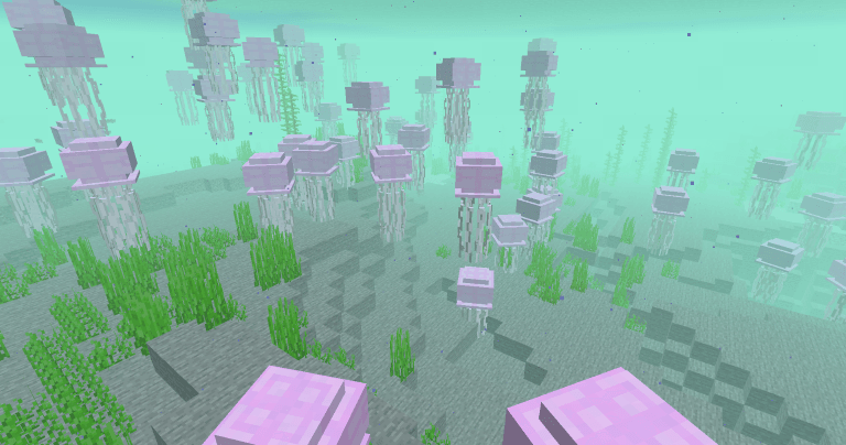 jellyfish Camp