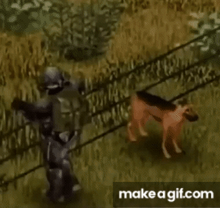 a gif image shows human animation wrongly implement on a dog model