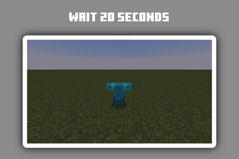 Stage 8 - Wait 20 seconds