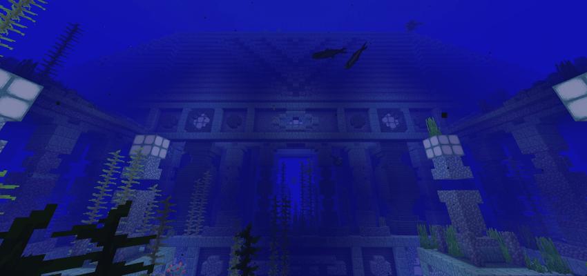Underwater life!