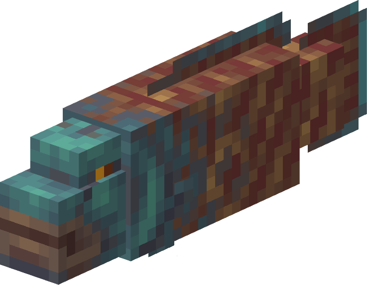 Female Napoleon Fish