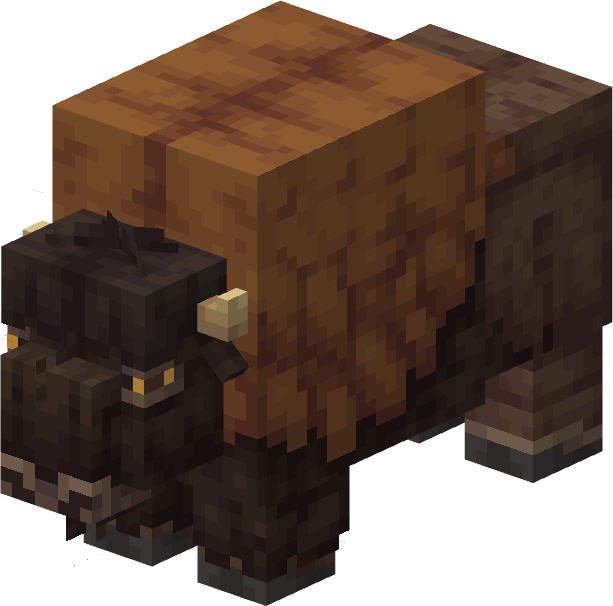 Female Bison
