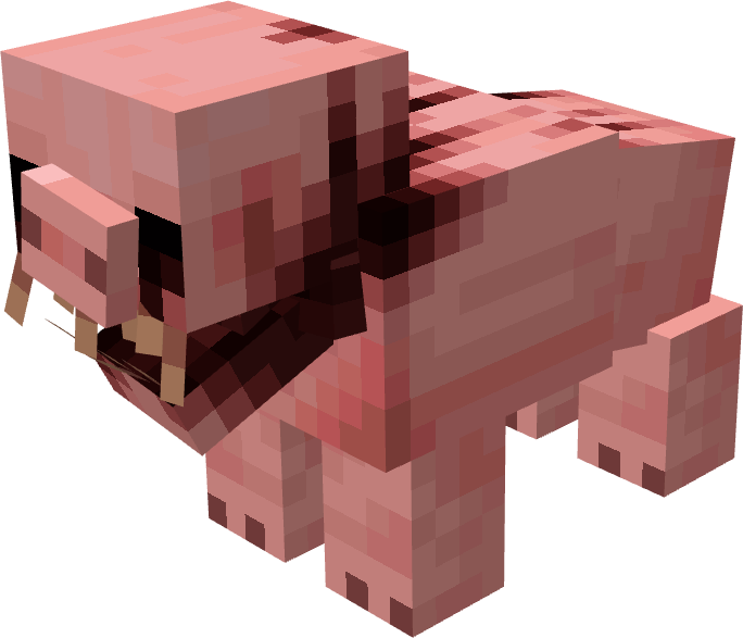 Torned pig