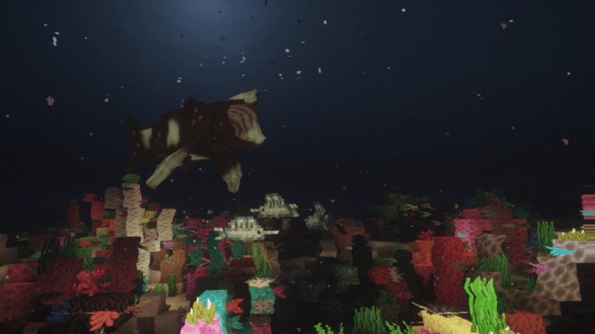 Experience a Beautiful Lively Ocean filled with Wonders