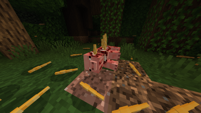 Experiment 8 parasite pig
