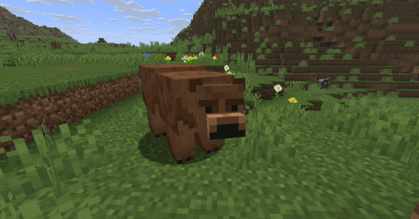 bears bears bears