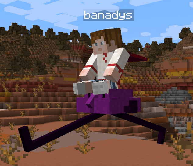 riding Zufik