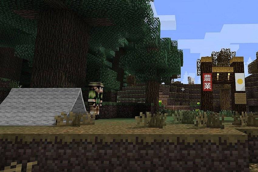 Meet NPCs