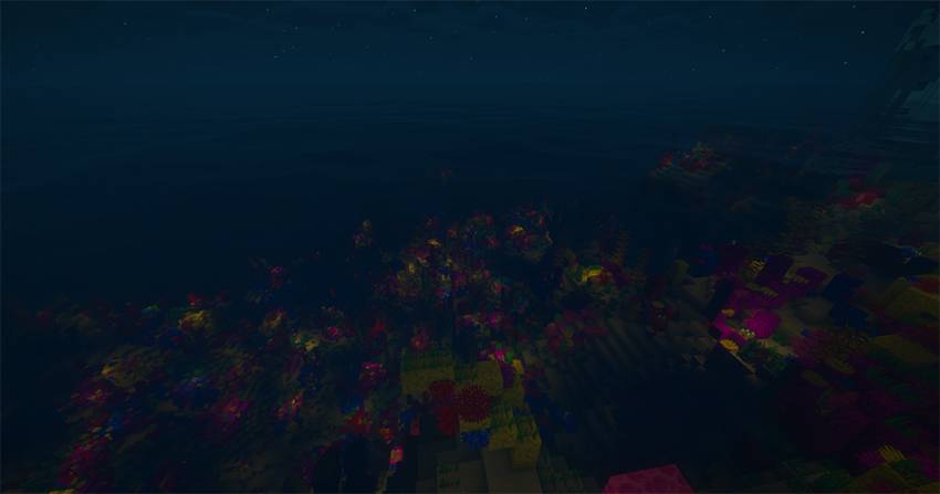 MT Coral Reef