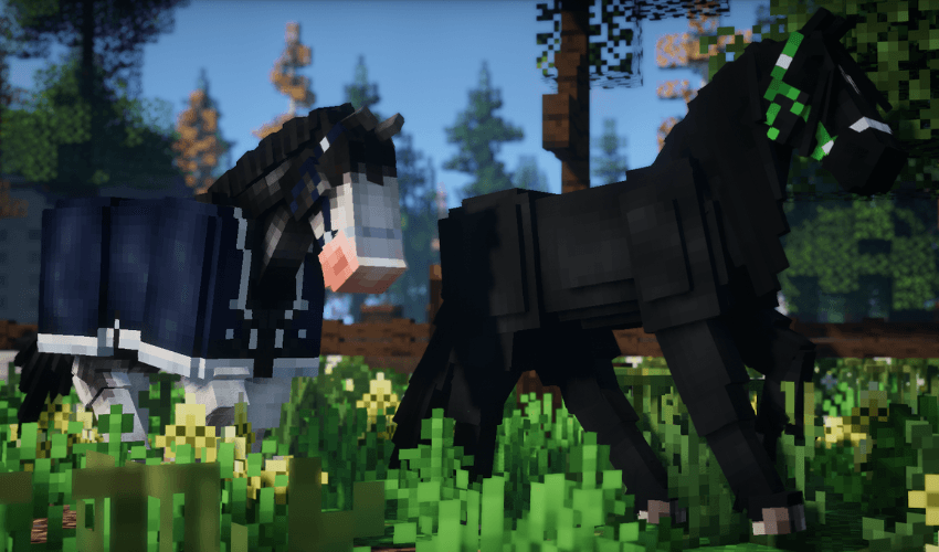 Collection elements demonstration