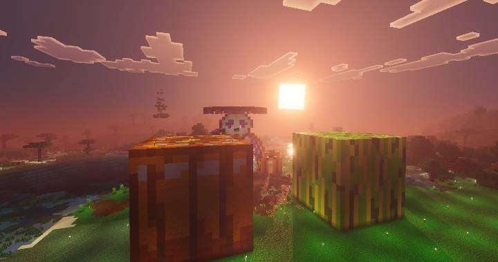 Pumpkin and Watermelon Farm