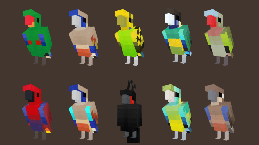 Aussie Parrots New Update Variants