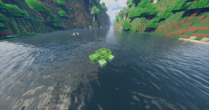 turtle