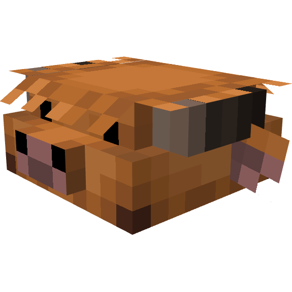 Cow Cold