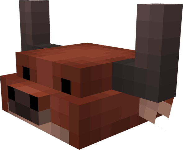 Cow Warm
