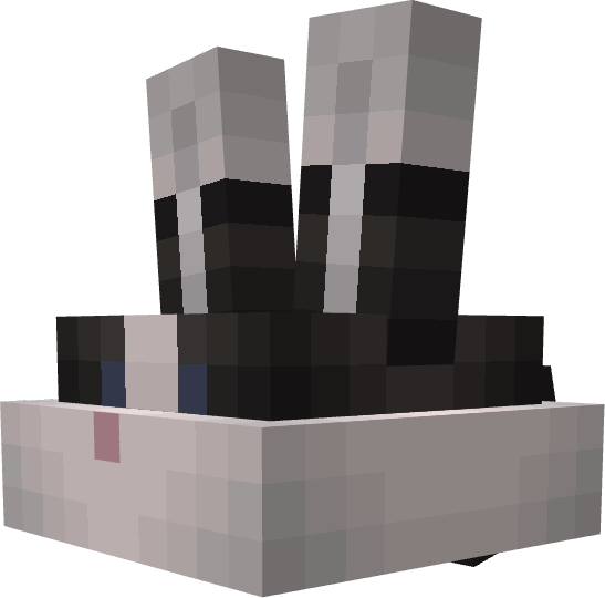 Toast