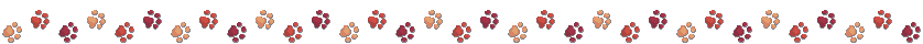 Decorative image of paw prints in a line.