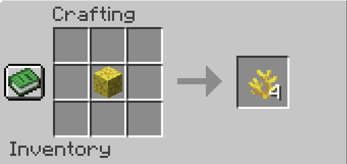 Horn Coral Recipe