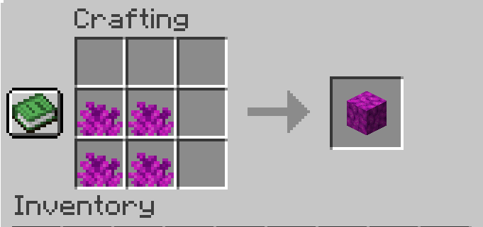Bubble Coral Block