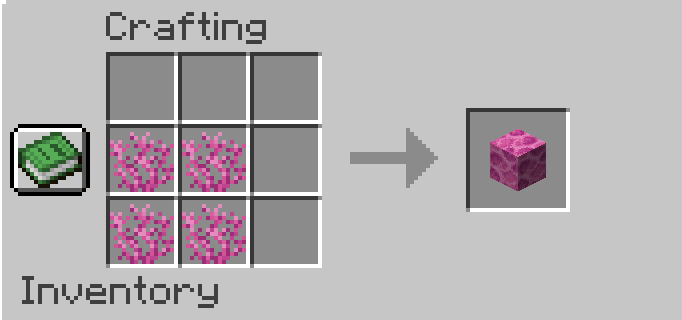 Brain Coral Block Recipe