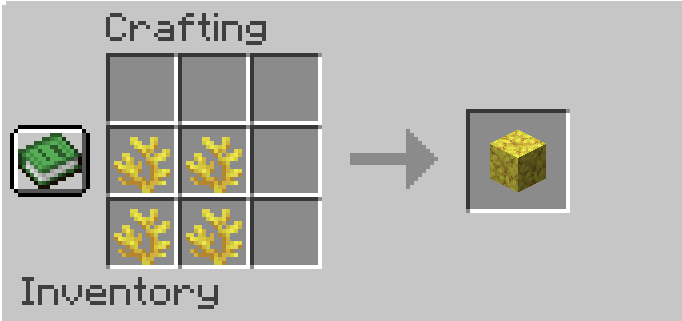 Horn Coral Recipe