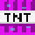Duplicator TNT