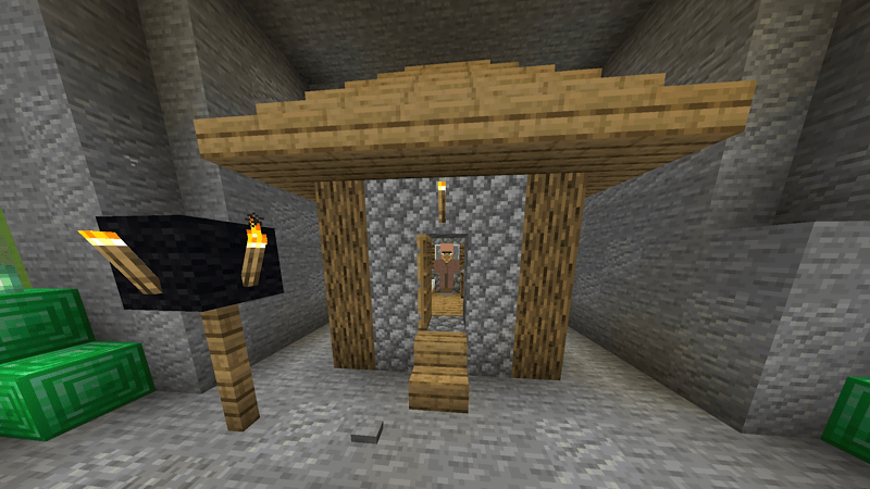 Villager