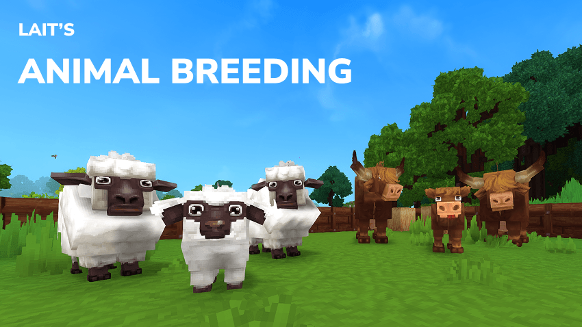 La cría de animales de Lait con una familia de ovejas y una familia de vacas en un corral