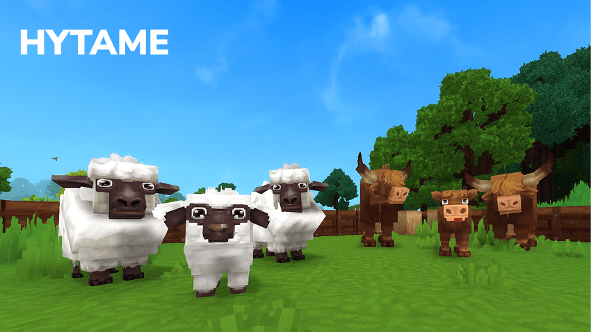 HyTame with a family of sheeps and a family of cows in an animal pen