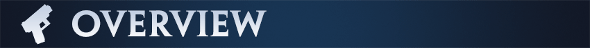 Overview