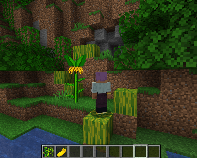 BananaPlant